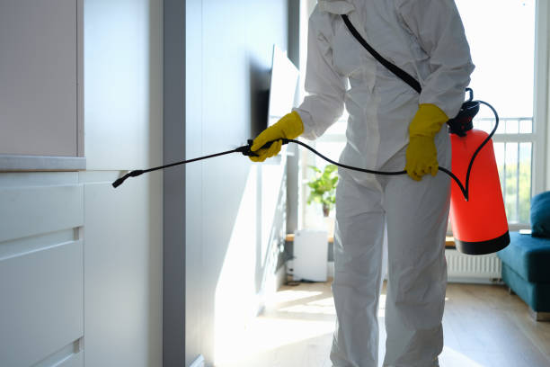 Best Residential Mold Removal  in Tell City, IN